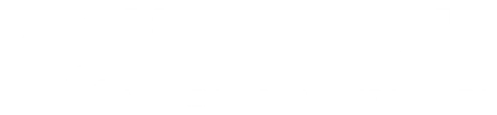 WISE white side logo